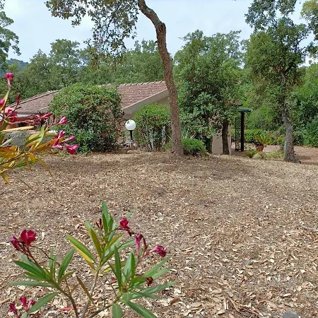 Tamara 2 Διαμέρισμα *