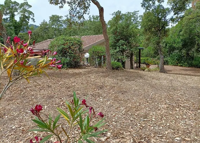 Tamara 2 Lejlighed *